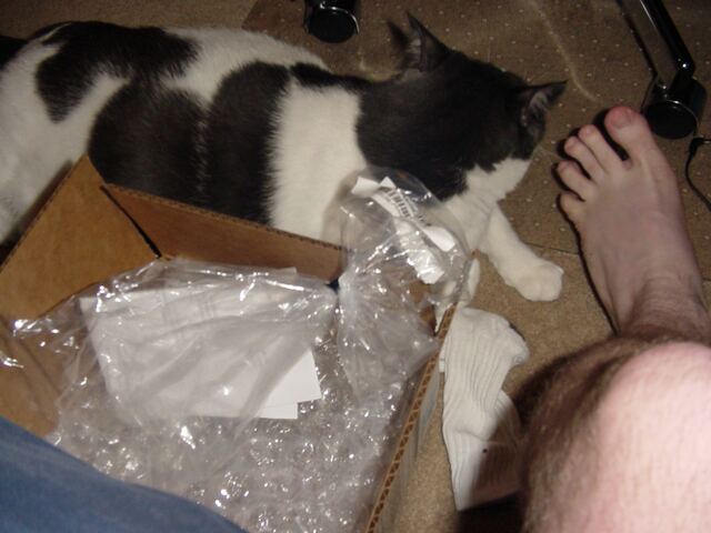 Baxter, photo 2