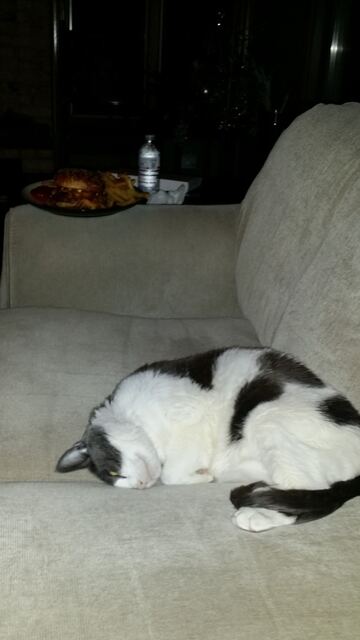 Baxter, photo 120