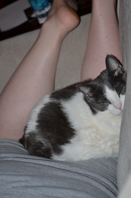 Baxter, photo 47
